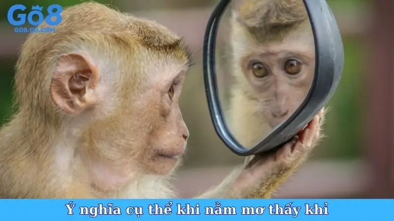 Ý nghĩa cụ thể khi nằm mơ thấy khỉ