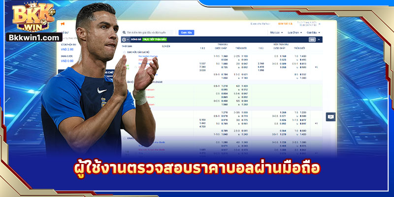 ผู้ใช้งานตรวจสอบราคาบอลผ่านมือถือ