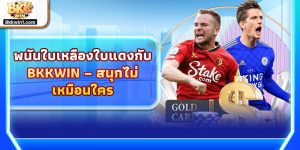 พนันใบเหลืองใบแดงกับ BKKWIN – สนุกไม่เหมือนใคร
